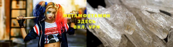 сатива Новокубанск