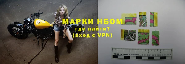 сатива Новокубанск