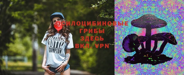 винт Новозыбков