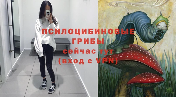 сатива Новокубанск
