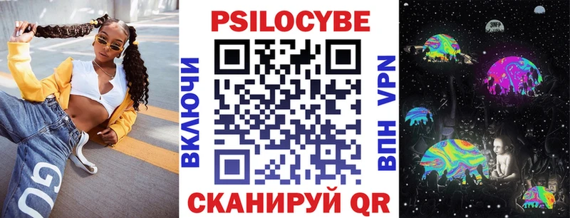 Купить где  Кубинка  Псилоцибиновые грибы мицелий 